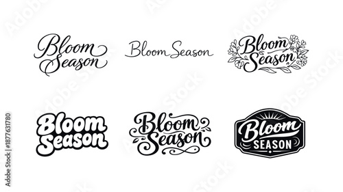 Bloom Season Lettering Grid. Bloom season inspirational phrase lettering. Set lettering. harmonious lettering variations of the same emblematic concept, each