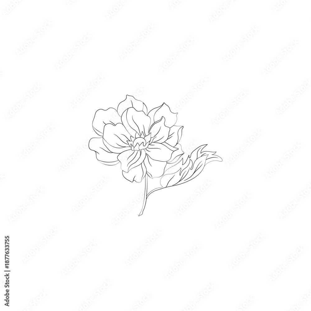 Obraz premium Line drawing of a flower with leaves