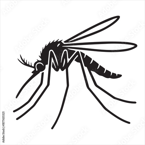 vector illustration of a mosquito