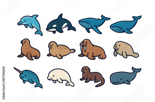Marine Mammals Icons. marine mammals. Colorful isometric vector icons set of marine mammals: dolphin, orca, humpback whale, blue whale, sea lion, harbor seal,