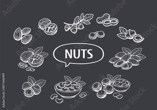 Hand-Drawn Collection of Various Nuts in Line Art Style