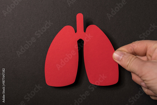 Hand holding a paper lung s...