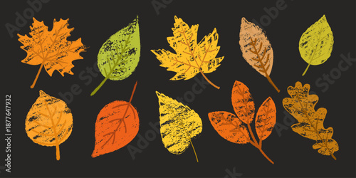Colorful autumn leaves with chalk and crayon textured effect on dark background. Hand drawn fall foliage illustration for seasonal design, posters, packaging, invitations and creative projects.