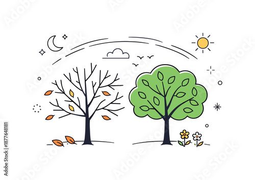 Seasonal Transition Illustration. Season change concept. A minimal scene showing nature transitioning with trees partly bare and partly green, soft motion