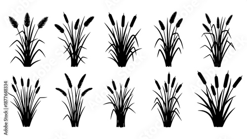 “Wetland vegetation silhouettes, swamp plants, grass bundles, botanical icons, solid black shapes on white”