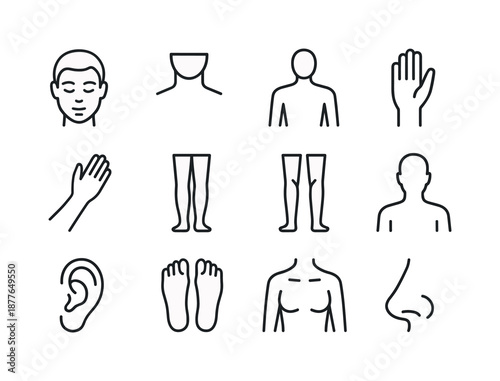Sunscreen Application Icons. Applying sunscreen. Line icon set of application zones: face icon, neck zone, shoulders area, arms front, arms back, legs front,