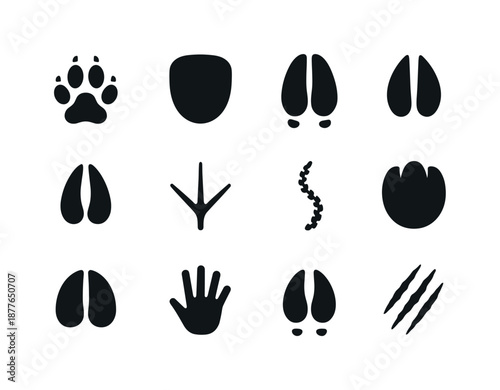 Savanna Animal Tracks. Savanna Animal Tracks. Solid icon set of Savanna Animal Tracks: lion paw print, elephant footprint, zebra hoofprint, giraffe track,