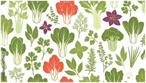 collection of green vegetables and culinary herbs isolated on white background.