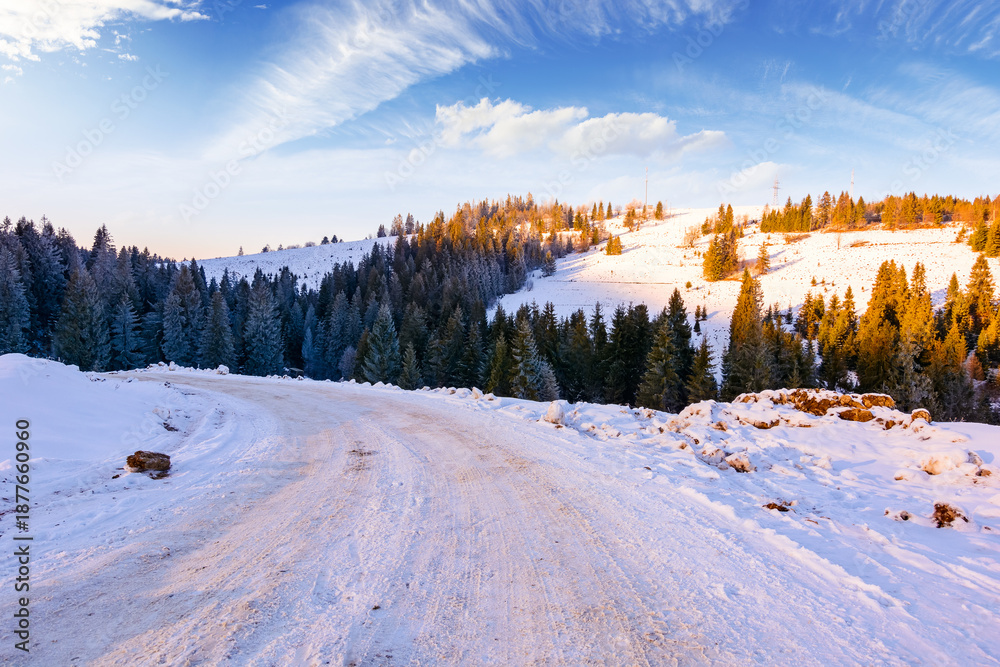 Naklejka premium winter landscape with snow covered country road winding through fir forest in carpathian mountains. alpine countryside of ukraine. remote place for outdoor adventures. concept for wellness and escape