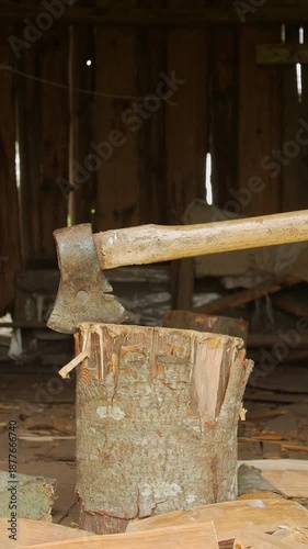 Timelapse of clouds shifting above treetops at sunset