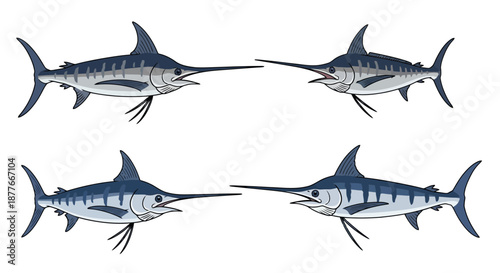 Four blue marlin fish swimming on black background
