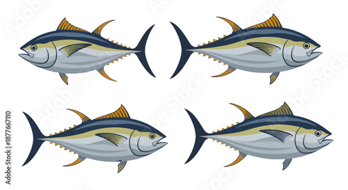 Four tuna fish swimming in a row on black background