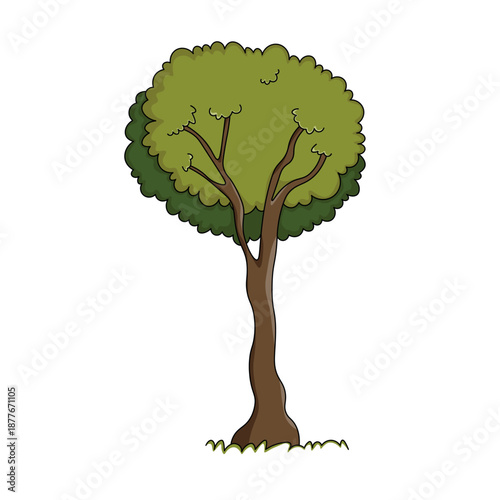 Doodle trees. Isolated color icons on white background. Spring tree for your design. Vector symbol sign. Plants, landscape design. Eco idea concept.