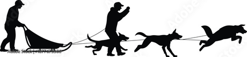 Dog sled racing silhouette, musher controlling sled dogs in winter sport, arctic adventure, teamwork, speed, motion, training, competition, outdoor activity