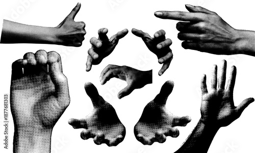A monochrome study of diverse hands, showcasing a range of gestures from a thumbs-up to an open palm, capturing the essence of non-verbal communication.