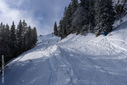 Action shot of skiers on a sunny, snow-covered piste surrounded by alpine pine trees in the Bavarian Alps.
