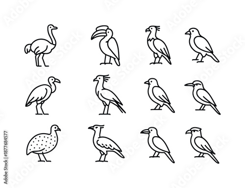 Savanna Bird Icons. Savanna Birds. Line icon set of Savanna Birds: ostrich, hornbill, vulture, marabou stork, secretary bird, weaverbird, guinea fowl, kori
