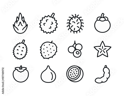 Exotic Fruit Icons. Exotic fruits. Line icon set of Exotic fruits: dragon fruit, durian, rambutan, mangosteen, jackfruit, soursop, longan, starfruit,