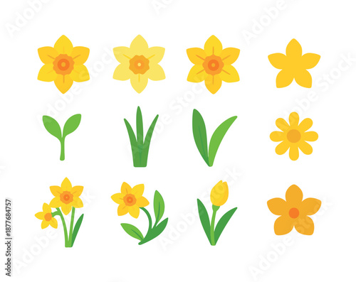 March Birth Flower Icons. March birth flowers. Colorful flat vector icons set of March birth flowers: daffodil bloom, jonquil flower, trumpet daffodil, yellow