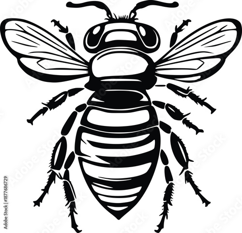Stylized Bee Illustration in Black and White Line Art, Queen Bee Graphic Design for Logo or Tattoo