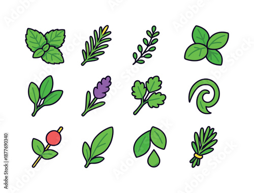 Herbal Icon Grid. Herbal accents. Colorful isometric vector icons set of Herbal accents: mint leaves, rosemary sprig, thyme garnish, basil leaf, sage stem,