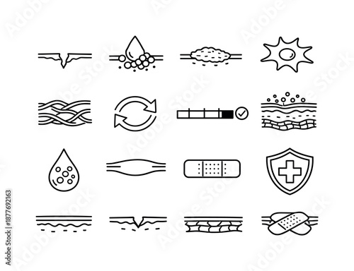 Skin Healing Icons. Skin healing. Line icon set of Skin healing: wound outline, clot formation symbol, scab icon, fibroblast cell, collagen strand, repair