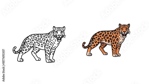Comparison illustration showcasing a black and white line art version alongside a fully colored cartoon jaguar illustration ready for creative use