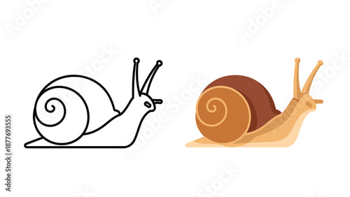 Vector illustration showcasing a side view of a detailed brown garden snail silhouette next to a simple black and white outline icon ready for coloring or graphic design projects