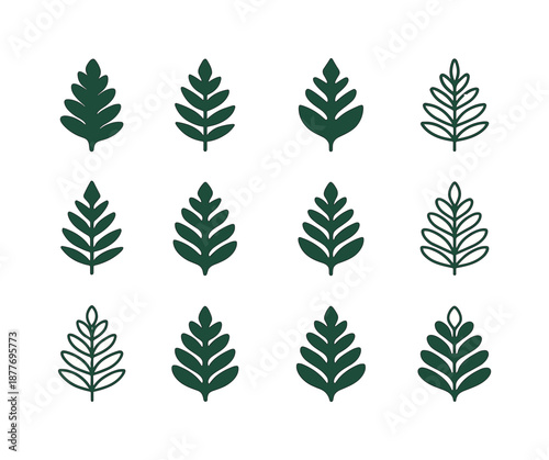 Fern Icon Variations. Fern. Icon set. Set Logo of fern: layered fern clusters. harmonious logo variations of the same emblematic concept, each with different