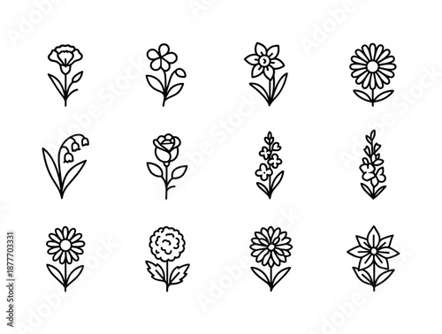 Birth Flower Icons. Birth flowers. Line icon set of birth flowers: carnation, violet, daffodil, daisy, lily of the valley, rose, larkspur, gladiolus, aster,