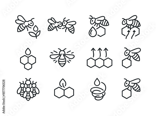 Honey Production Icons. How bees make honey. Line icon set of in-hive processing: nectar handoff, bee-to-bee transfer, crop-to-cell deposit, enzyme drop
