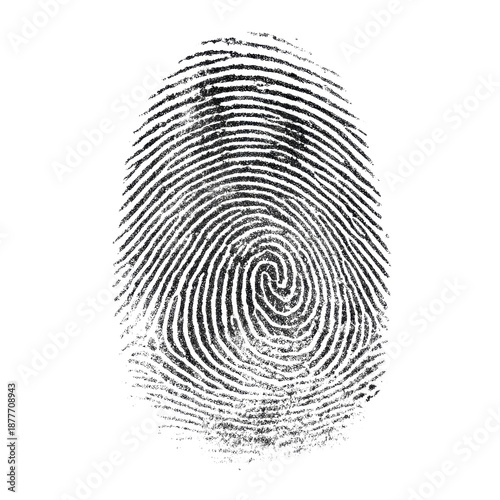Fingerprint close-up on transparent background