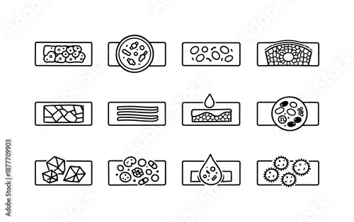 Scientific Slide Icons. Scientific Slide Studies. Line icon set of Scientific Slide Studies: histology sample, microbiology sample, cytology smear, botanical
