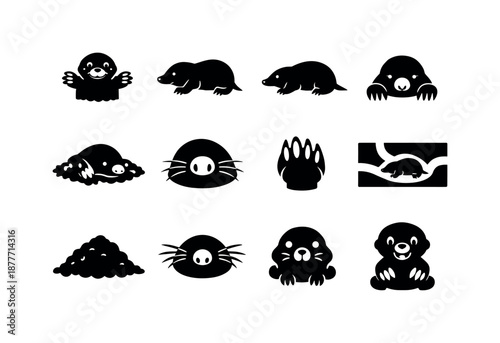 Mole Icon Set. Mole illustrations. Solid icon set of mole illustrations: cartoon mole, realistic mole, side profile, front view, silhouette, burrowing pose,