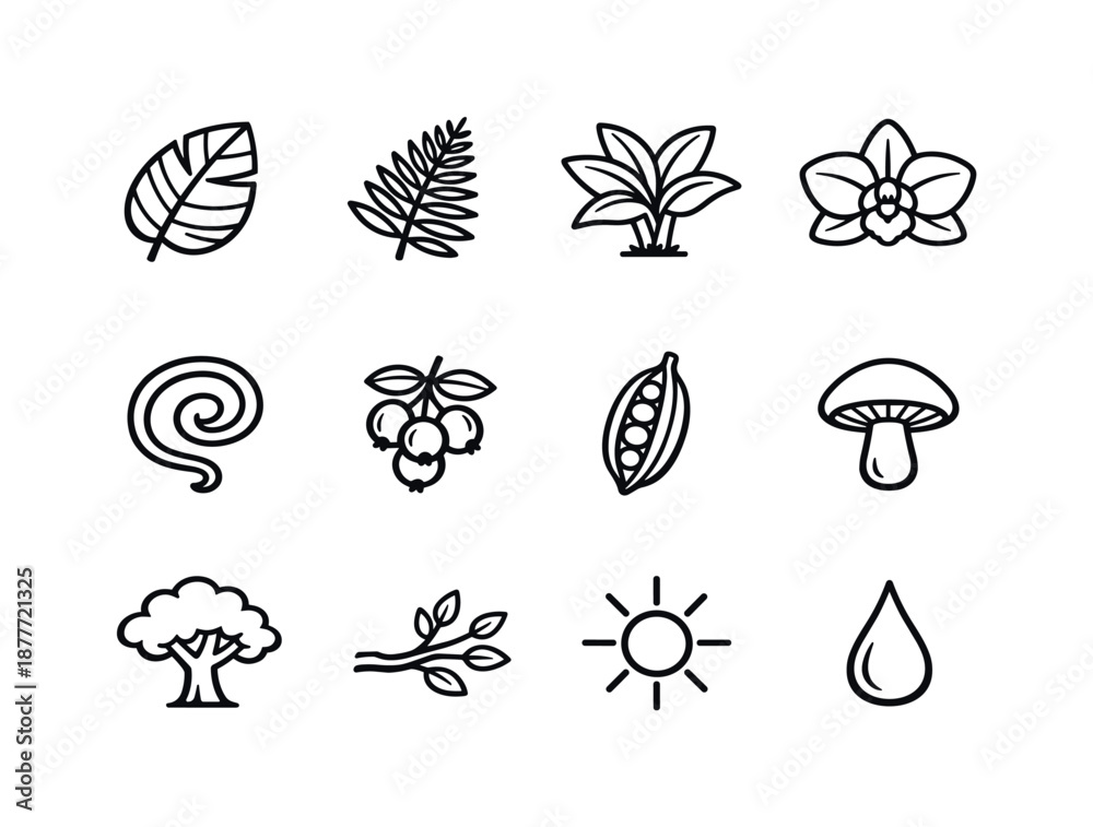 Fototapeta premium Jungle Flora Icons. Jungle flora. Line icon set of Jungle flora: large leaf, fern, tropical plant, orchid flower, vine spiral, fruit cluster, seed pod,