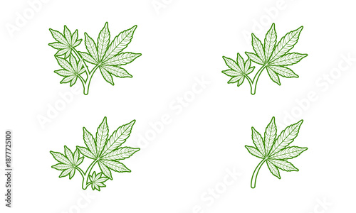 Illustration of four different marijuana leaf designs from various viewpoints