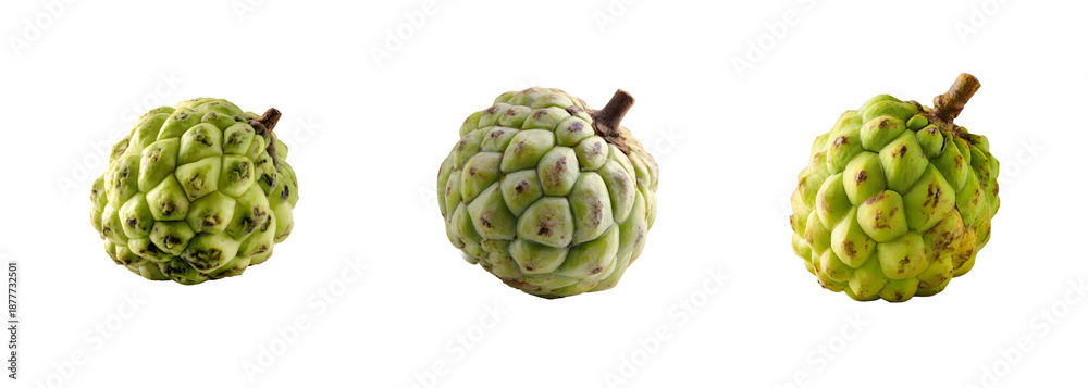 Fototapeta premium Sugar apple fruit collection isolated on transparent background PNG set with isolated on transparent background