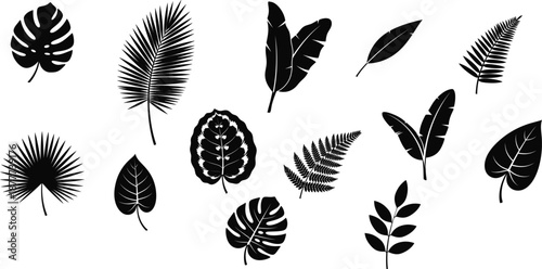 A collection of black vector silhouettes featuring various tropical leaves and foliage