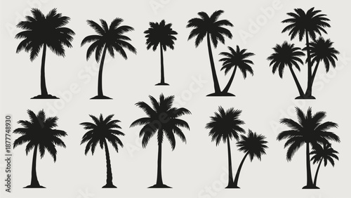 Tropical Palm Tree Silhouettes Collection: Black Vector Set for Summer and Beach Designs