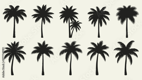 Tropical Palm Tree Silhouettes Collection: Black Vector Set for Summer and Beach Designs