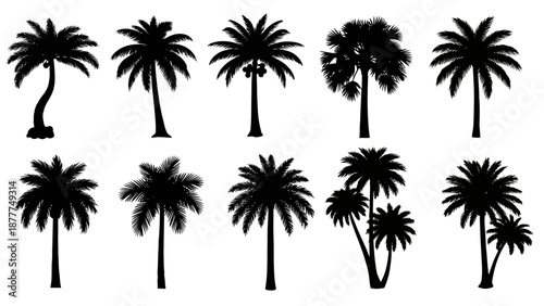 Tropical Palm Tree Silhouettes Collection: Black Vector Set for Summer and Beach Designs