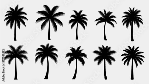 Tropical Palm Tree Silhouettes Collection: Black Vector Set for Summer and Beach Designs