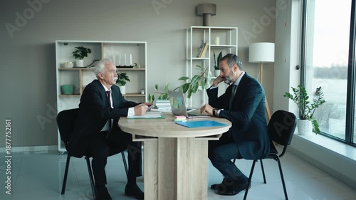 Senior and Middle Aged Businessmen Working Together in Modern Office