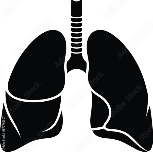 Lungs Respiratory System Anatomy Medical Icon