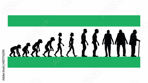 Human evolution from ape to elderly man in silhouette