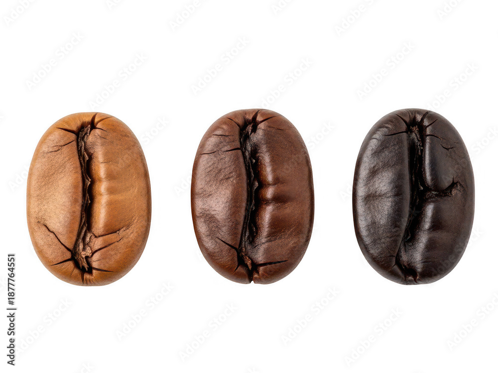 Fototapeta premium Three coffee beans in various stages of roasting isolated on transparent background
