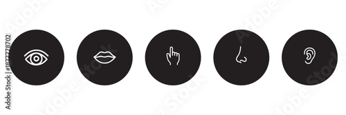 Human five senses icon set. Vector illustration of sight eye, smell nose, hearing ear, touch hand, taste mouth with tongue