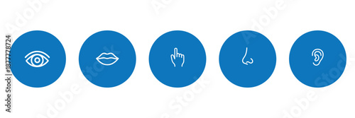 Human five senses icon set. Vector illustration of sight eye, smell nose, hearing ear, touch hand, taste mouth with tongue