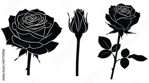 Elegant black and white silhouettes of roses in various stages of bloom