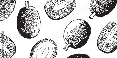 Hand-drawn illustration of a jackfruit and its slices on a white background